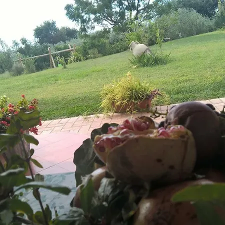 Macchia D'olmo Bed and Breakfast