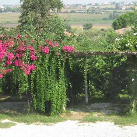 Bed and Breakfast Macchia D'olmo