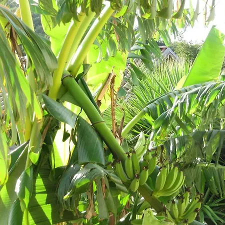 Bed and Breakfast Macchia D'olmo