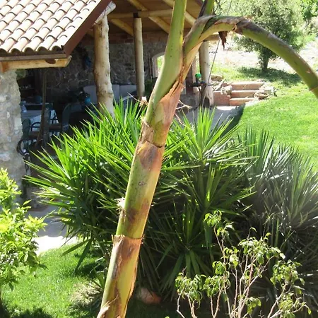 Macchia D'olmo Bed and Breakfast Capaccio