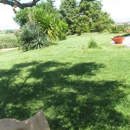 Macchia D'olmo Bed and Breakfast Capaccio