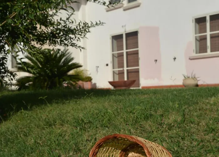 לינה וארוחת בוקר Macchia D'olmo