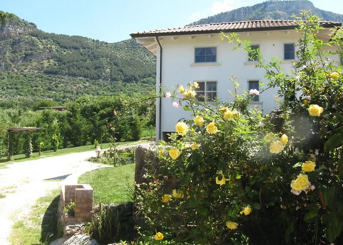 Macchia D'olmo לינה וארוחת בוקר קאפאצ'יו-פאסטום