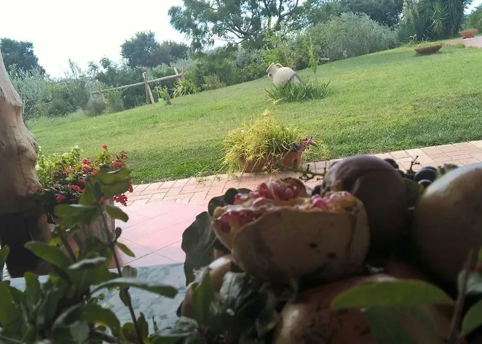 Macchia D'olmo לינה וארוחת בוקר