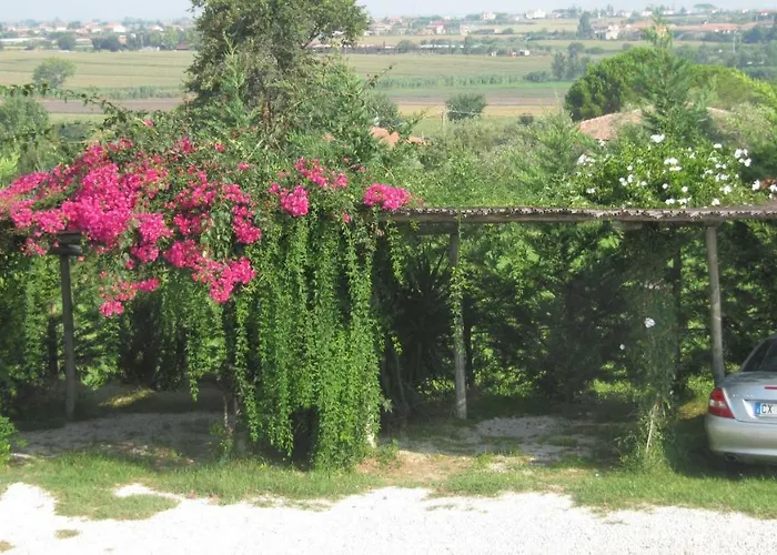 לינה וארוחת בוקר Macchia D'olmo