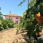 Macchia D'olmo Oda ve Kahvaltı Capaccio