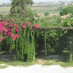 Oda ve Kahvaltı Macchia D'olmo