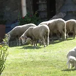 Panzió Macchia D'olmo