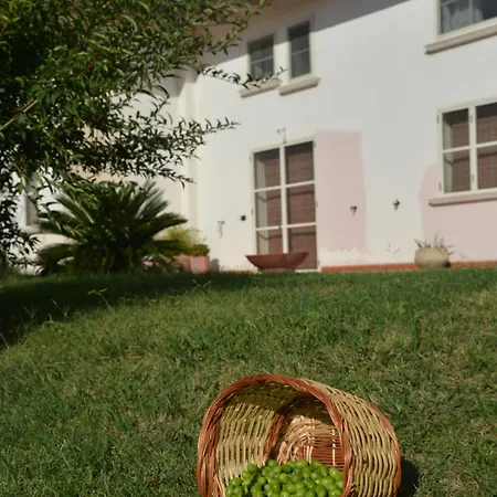 Bed & Breakfast Macchia D'olmo