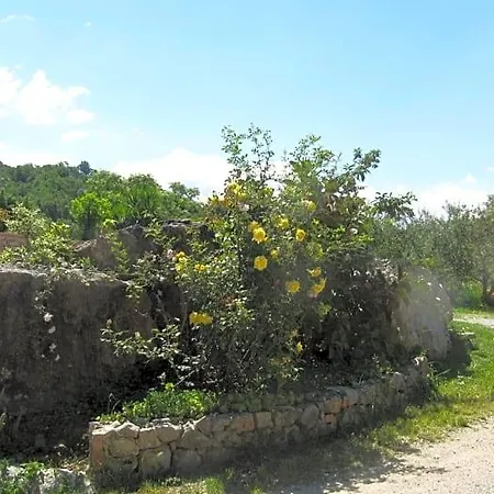 Bed & Breakfast Macchia D'olmo