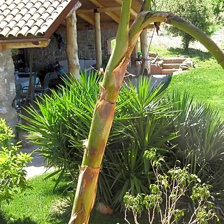 Macchia D'olmo Bed & Breakfast