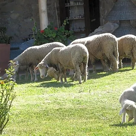 Macchia D'olmo Bed & Breakfast Capaccio