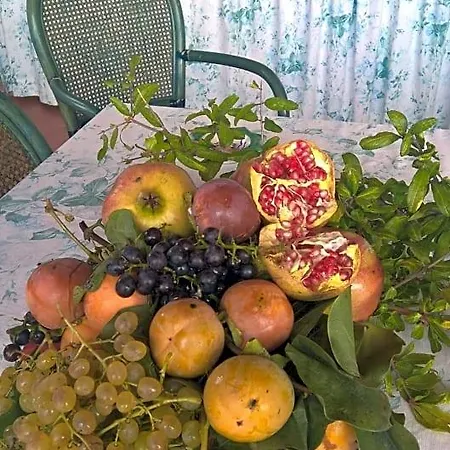 Macchia D'olmo Capaccio