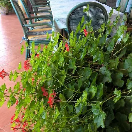 Bed & Breakfast Macchia D'olmo 3*