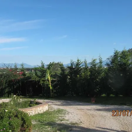 Bed & Breakfast Macchia D'olmo 3*