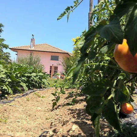 Macchia D'olmo Bed & Breakfast Capaccio