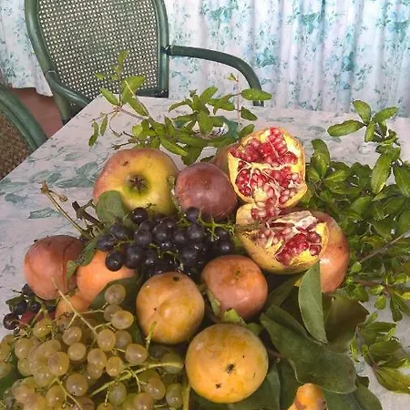 Bed & Breakfast Macchia D'olmo 3*