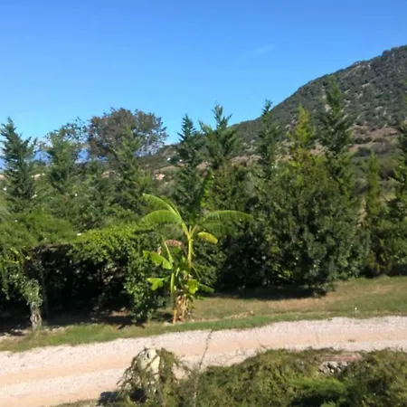 Bed & Breakfast Macchia D'olmo 3*