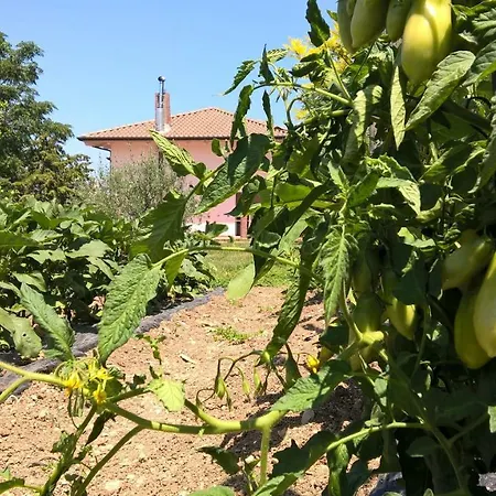 Macchia D'olmo Bed & Breakfast Capaccio