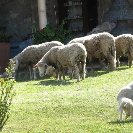 Bed & Breakfast Macchia D'olmo