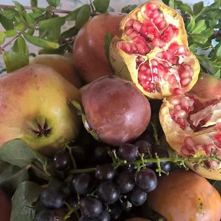 Macchia D'olmo Bed & Breakfast 4*