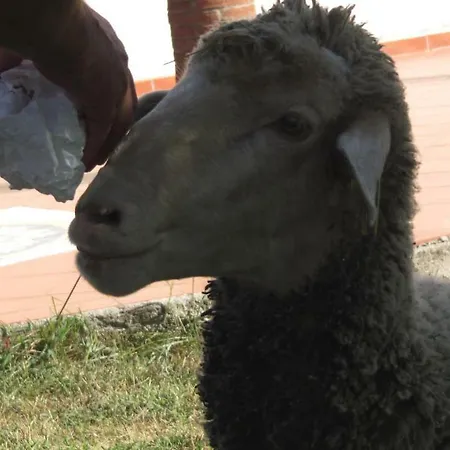 Bed and breakfast Macchia D'olmo Capaccio