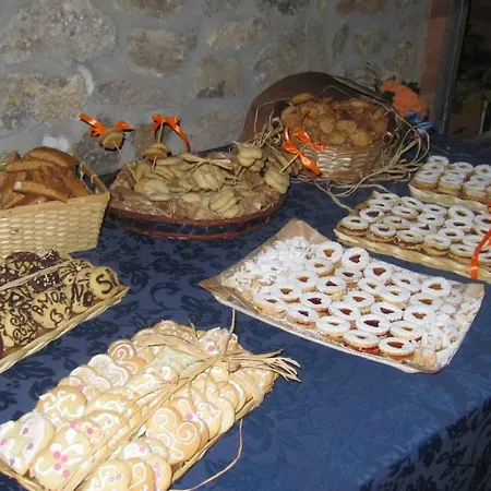Macchia D'olmo