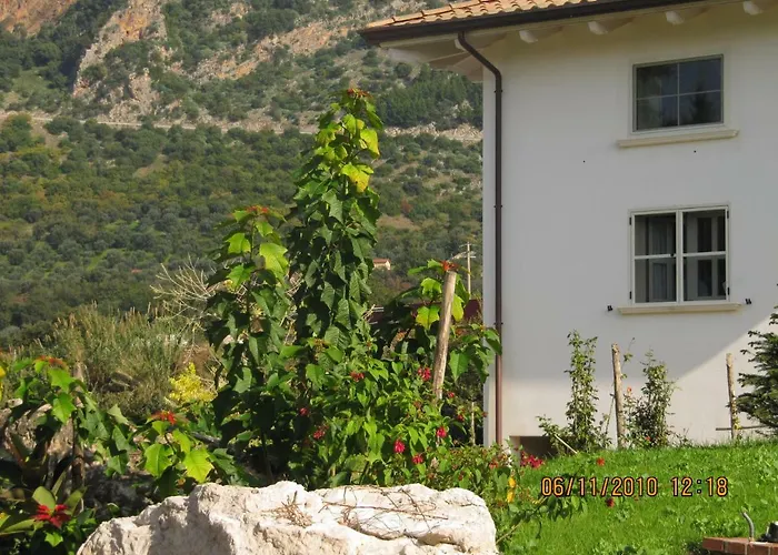 Bed & Breakfast Macchia D'olmo