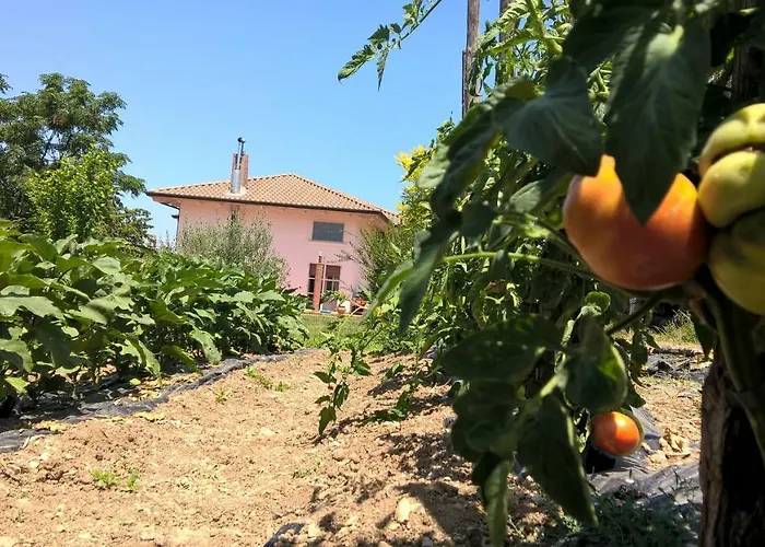 Macchia D'olmo Bed & Breakfast Capaccio