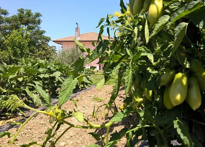 Macchia D'olmo Bed & Breakfast Capaccio