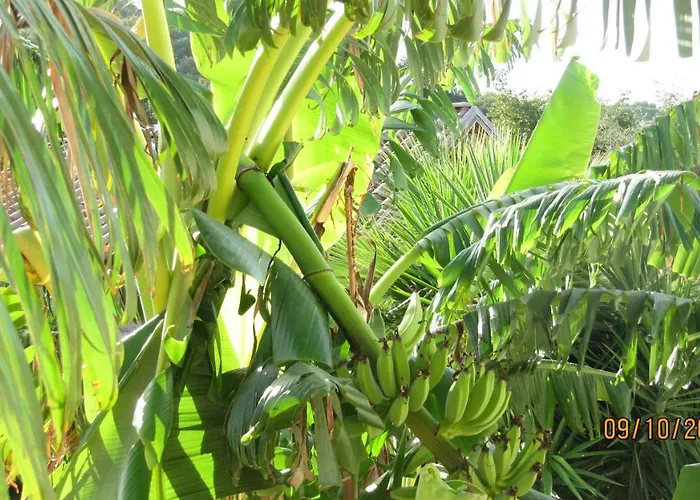 Bed & Breakfast Macchia D'olmo