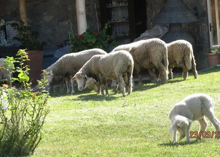Bed & Breakfast Macchia D'olmo