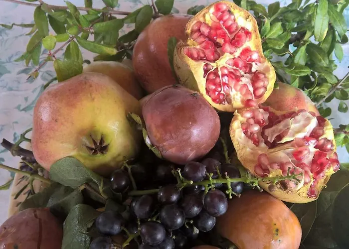 Macchia D'olmo Bed & Breakfast 4*