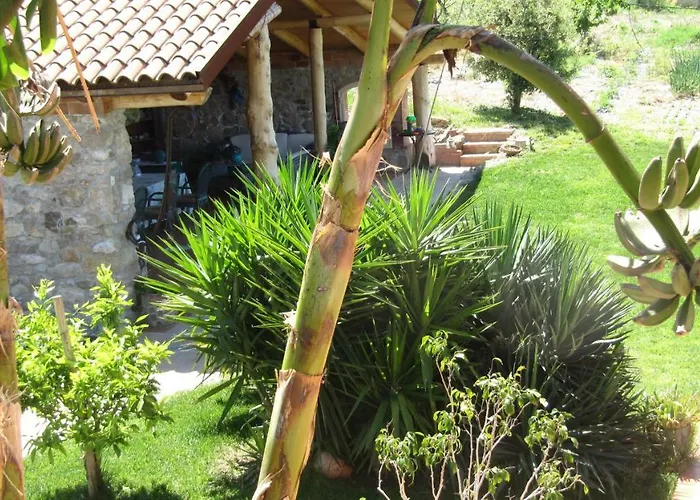 Macchia D'olmo Bed & Breakfast Capaccio