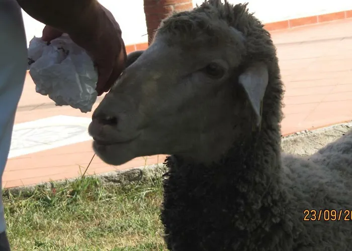 Bed & Breakfast Macchia D'olmo Capaccio